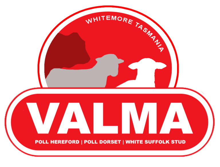 2024 VALMA Online ram sale catalogue Combined | Valma Stud