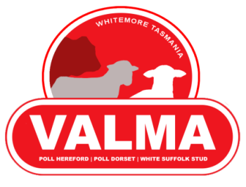 Valma logo, Poll Hereford, Poll Dorset, White Suffolk Stud, Whitemore Tasmania